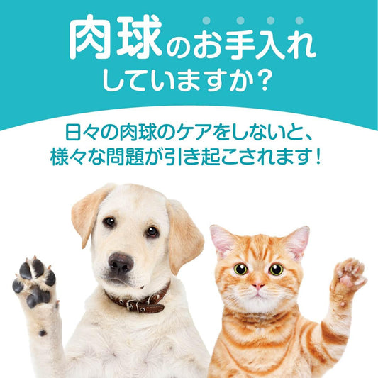 「Interpets2024 in 大阪✨️」に行ってきましたー🐕‍🦺vol.1